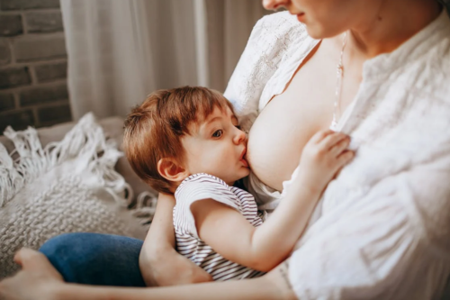 Breast Feeding Classes Momspregladder Breast Feeding Classes Momspregladder
